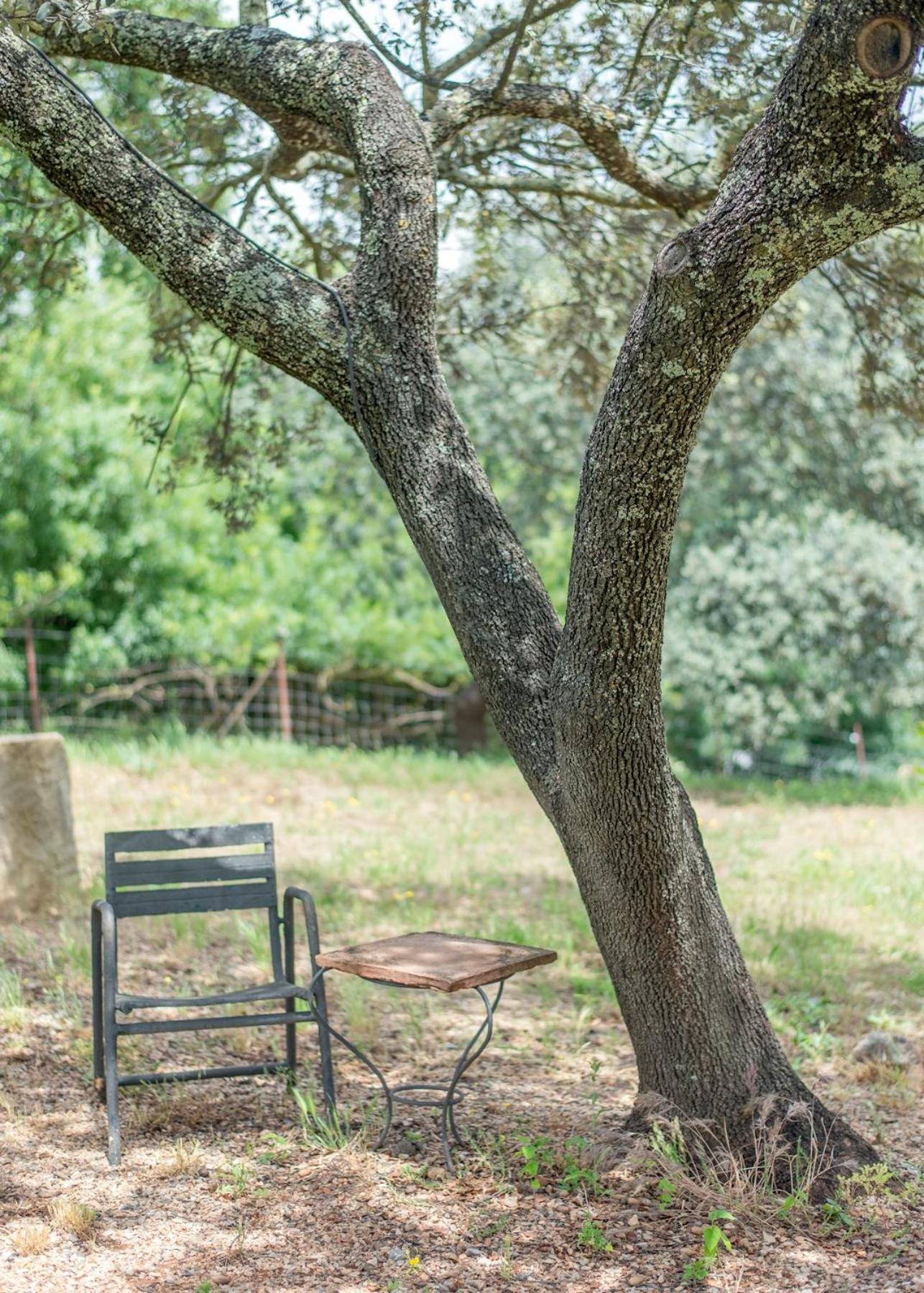 Гостевой дом La Umbria De La Ribera Эль-Педросо Экстерьер фото